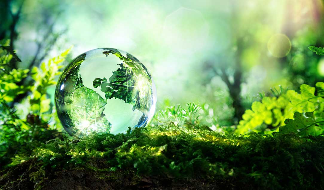 Glass globe depicting Earth resting on lush green moss in a vibrant, sunlit forest, symbolizing global sustainability and nature conservation.