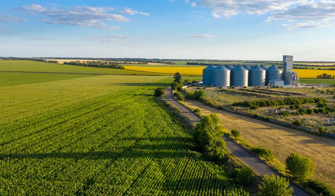 Panoramablick auf ein landwirtschaftlich bearbeitetes Feld bei blauem fast wolkenlosen Himmel. Im Hintergrund ist eine landwirtschaftliche Industrieanlage zu sehen.