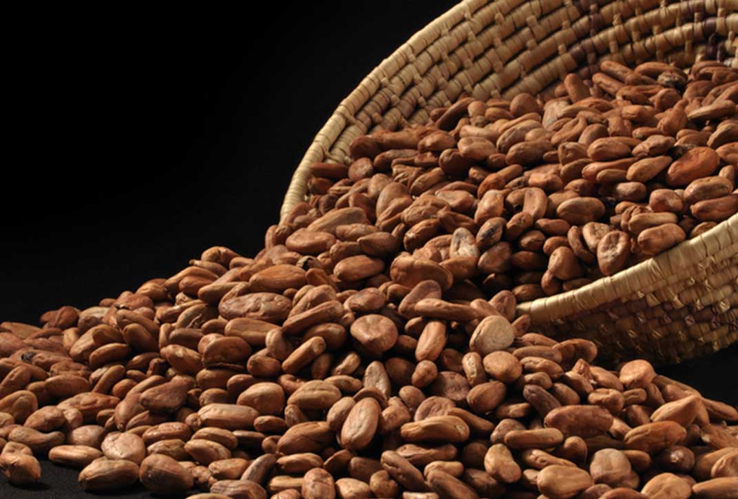 A slanted woven basket from which coffee beans empty onto the base.