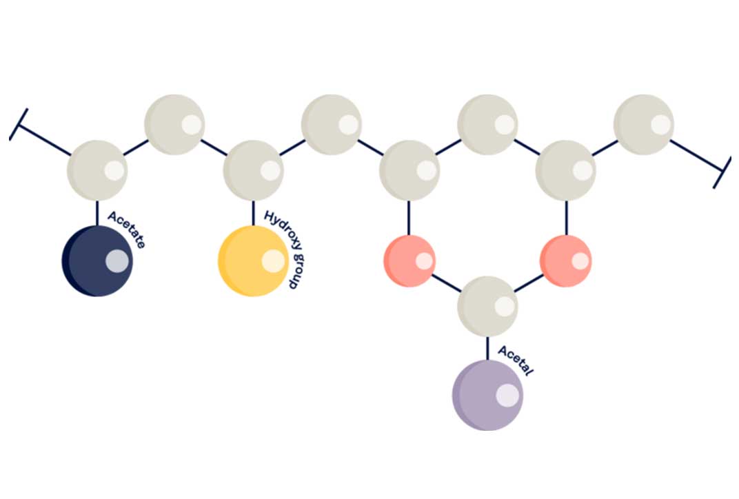 Illustration der MOWITAL®-Formel mit verschiedenfarbigen Kreisen